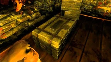 Amnesia: Weird dreams C.S. [3] That Looks Familiar.