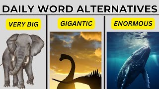Very Big | Synonyms