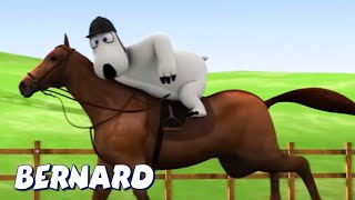 Бернард Медведь | Верховая езда И БОЛЬШЕ | Мультфильмы для детей | Полные эпизоды
