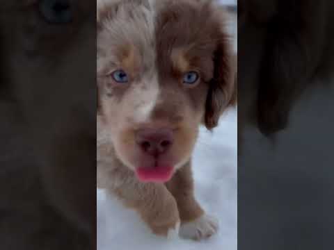 Two Month Old