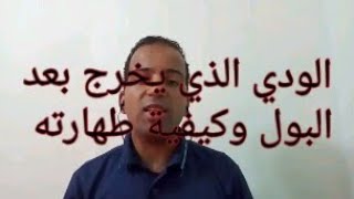 حكم الودي الذي يخرج بعد البول وكيفية طهارته