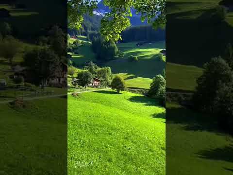 من اجمل المناظر الطبيعية لوحة خضراء