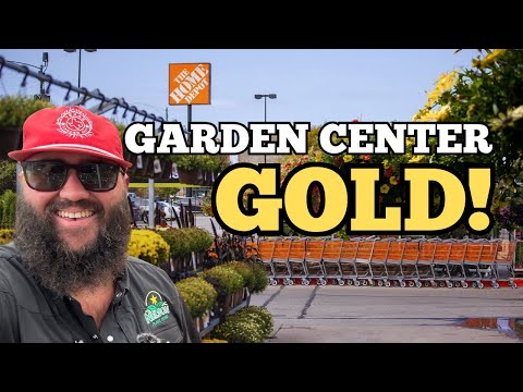 I Bought The BEST Plant in Home Depot?! | Home Depot Garden Center New Braunfels, TX