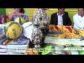 Clausura de Campeonato "Pequeños Campeones" por Municipalidad y Emp.
Casa Grande