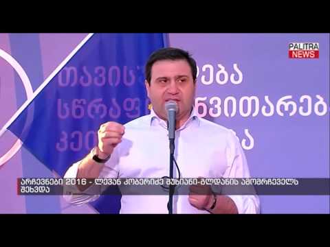 ლევან კობერიძე მუხიანი-გლდანის ამომრჩეველს შეხვდა