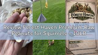 Review Forest Haven Premium Raw Peanuts for Squirrels – 10LB Bulk Squirrel Food – Unsalted Peanuts i