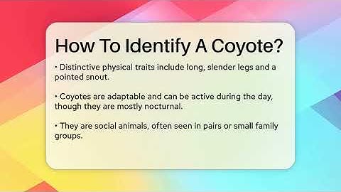 How To Identify A Coyote? - Exploring Campgrounds