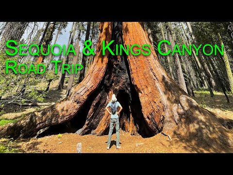 Videó: Sequoia és Kings Canyon Nemzeti Parkok: A teljes útmutató