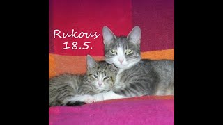 Rukous 18.5.