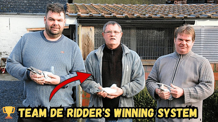 Team De Ridder: 2019 KBDB National Racing Pigeon Champions | Full Story & Secrets Revealed