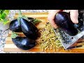 Aubergine râpée / Recette Healthy