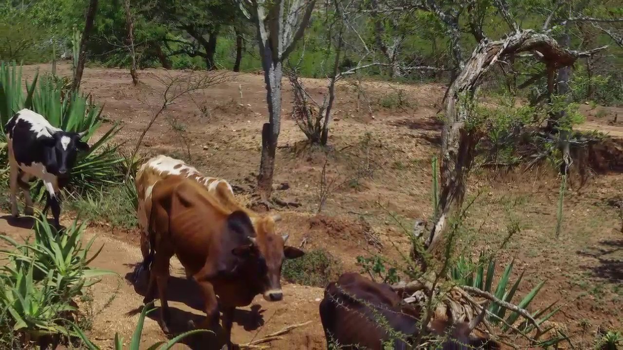 FRN responds to soil erosion in West Pokot County, Kenya
