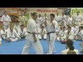 Warsaw seminar with Tsukamoto-sensei 2011 part 2.