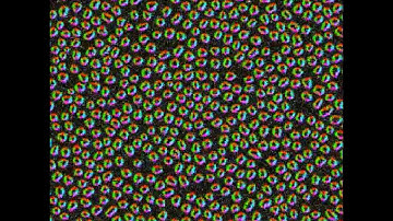 Skyrmions Arabesques