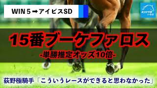 アイビスＳＤ 2025【穴馬/予想】枠を追い風に「☆この馬で勝つ」さらに中京メーン名鉄杯など単勝３連発！