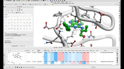 ICM 3D Ligand Editor: Structure- Based Docking for Lead Optimization.