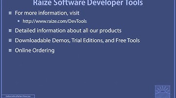 Embarcadero Technology Partner Spotlight - Raize Software