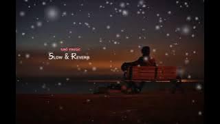 كل يوم نحيا و نموت (بطيء) (Slow & Reverb)