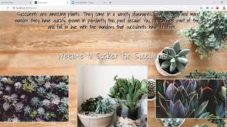 Nucamp Student Portfolio | Sucker for Succulents - A Non Profit Website by Kasey