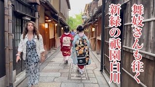 2024年4月27日 舞妓さんも往く新緑の祇園白川を歩く Walking around Gion Shirakawa, Kyoto 【4K】