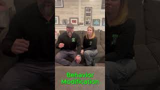 Does your dog need a behavior modification program?  What it a behavior mod?