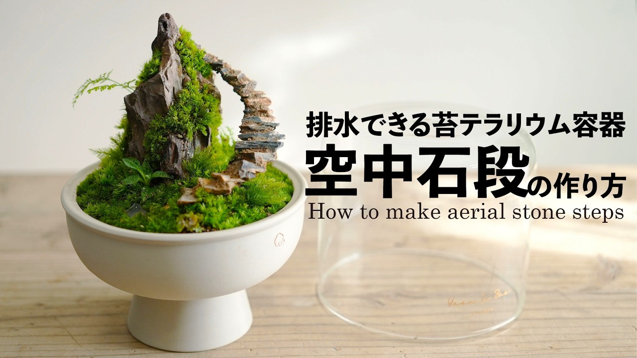 Latest | Drainable Moss Terrarium Container] Moss Terrarium with