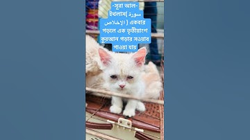 সূরা আল-ইখলাস( سورة الإخلاص ) এর ফজিলত 🤲✅ #islamicstatus #viralvideo #foryou #trending #oc #waz