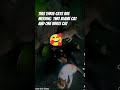 gouri cat missing video #dropshipping #love #lovemusic #cute #jiskeaanesemukammalhogayithizindagiso