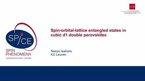 Talks - Novel Electronic and Magnetic Phases  - Na...