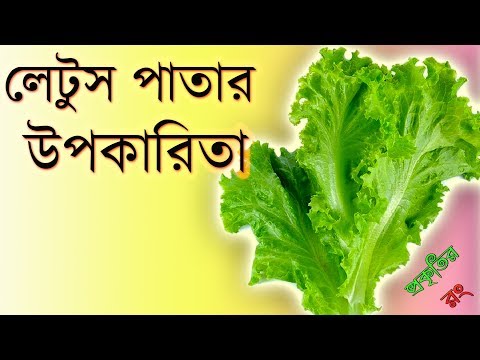 ভিডিও: আরগুলা সালাদ কেন দরকারী?