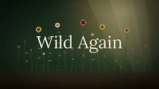 Wild Again - A series about rewilding and nature restoration in Britain