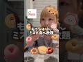 【食べ放題】もっちゅりんも対象！夢のミスド食べ放題で爆食