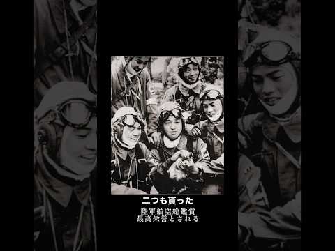 【特攻隊員の戦争体験】「あの子犬を抱いた特攻兵は同期生」 #あの花が咲く丘で君とまた出会えたら #神風特別攻撃隊 #陸軍特別攻撃隊
