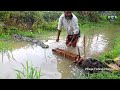 See How To Catch Fish During Rainy Season l Fishing Media