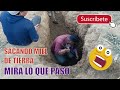 Sacando miel de tierra en el campo  la mejor miel para los remedios caseros dicen las abuelitas