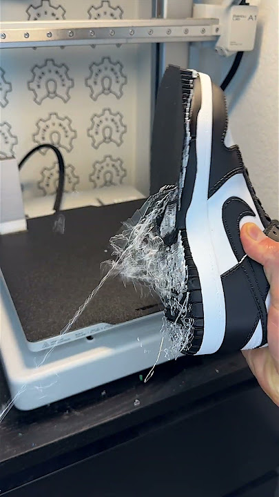 3D Printed Nike Panda Dunk Low