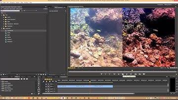 SRP Filter vs. Backscatter Red Filter - Color Correction