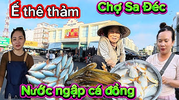 BÀ CON THAN Ế THÊ THẢM CHỢ SA ĐÉC NGẬP LŨ CÁ ĐỒNG MÙA NƯỚC NỔI | GÓC TÂY NINH