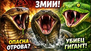 Змии - 21 Смъртоносни Факта, Които Ще Те Шокират