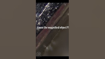 close up objects quiz#shorts  macro video