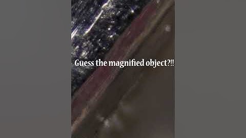 close up objects quiz#shorts  macro video