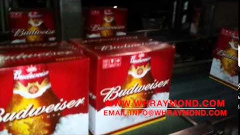 NANOJET Thermal Inkjet Printer barcode QR code Demo