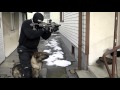 Tactical Obedience K9 movement - on-line watchdog Tactical Obedience K9 movement - on-line watchdog