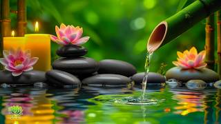Relaxing Calming Music 🌿 Stress Relief, Meditation, Sleep and Spa Sounds for Mind and Body Peace screenshot 5