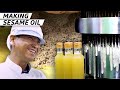 How Sesame Oil is Made — Handmade