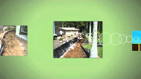 Root Barrier Save Trees and Protect Structure