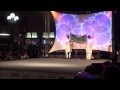 Rajasthani Folk stage dance