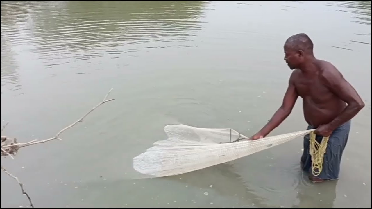 Village Pond Fishing Net || How To Catch Giant Fish Ponds || Harvest ...