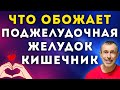 Ваш КИШЕЧНИК, ПОДЖЕЛУДОЧНАЯ, ЖКТ Обожает Это! Упражнение Акула.