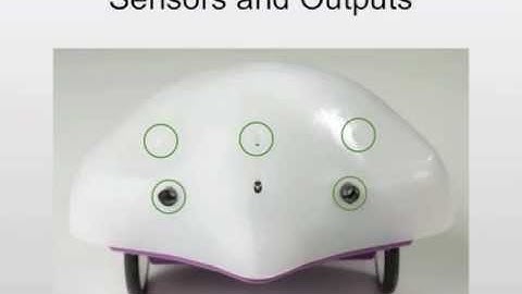 The Story of the Finch